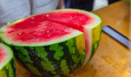 热门大瓜今日吃瓜校园,揭秘热门大瓜，一起吃瓜涨知识