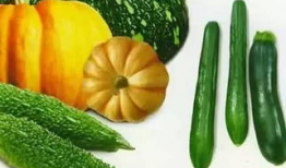 在线吃瓜免费吃瓜 今日吃瓜,免费在线畅享精彩瓜料