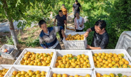 运城今日吃瓜新闻报道最新,今日吃瓜新闻揭秘背后真相